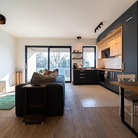 Mirador Bohemian Apt With Views Over Old Town And Tampa Mountain, Near Poiana 布拉索夫 外观 照片